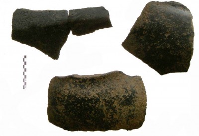 Figure 3. Sherds with black burnished surface.